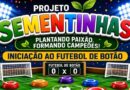 Projeto Sementinhas